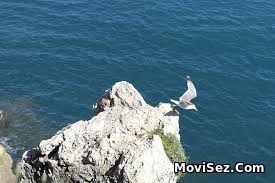 Sea Fever – Febra mării